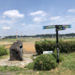 江戸川サイクリングロードをインプレッション